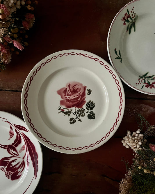 Série de 9 assiettes plates terre de fer dépareillées