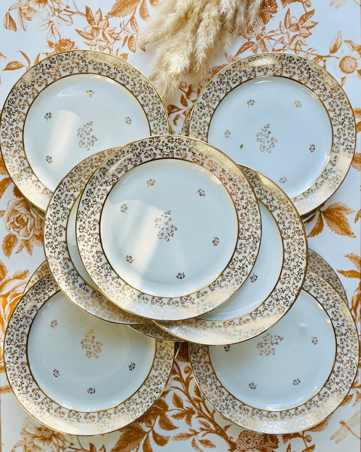 Assiettes anciennes en porcelaine