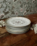 Charger l'image dans la visionneuse de la galerie, 7 assiettes plates en porcelaine