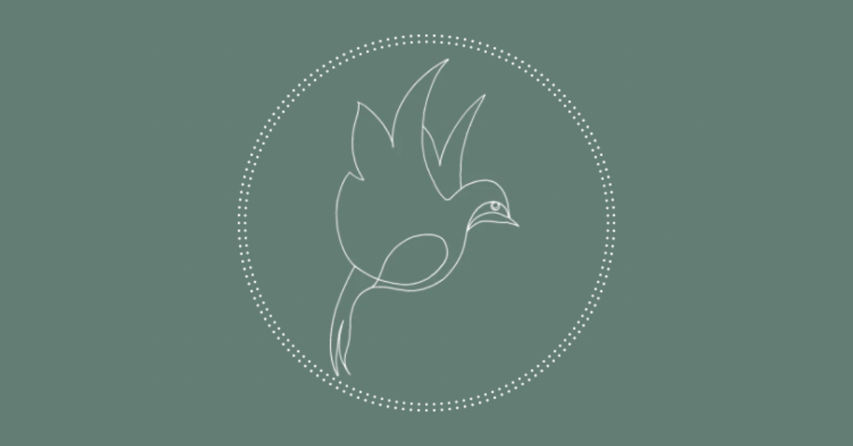 Fauvette c'est quoi ? Découvrez l'histoire derrière la boutique brocante