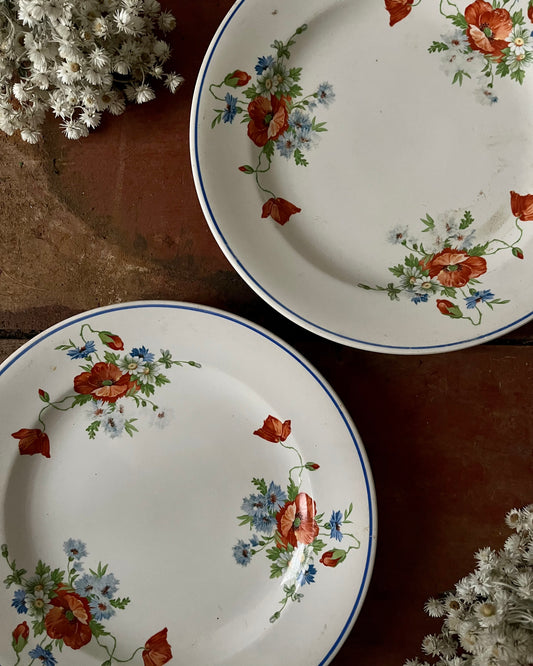 Duo d’assiettes plates Salins