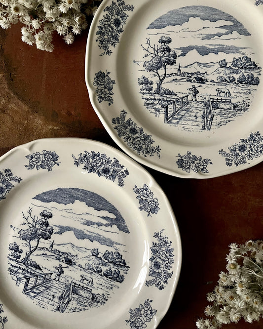 Duo d’assiettes plates Gien