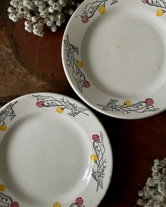 Duo d’assiettes plates