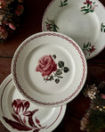 Charger l'image dans la visionneuse de la galerie, Série de 9 assiettes plates terre de fer dépareillées
