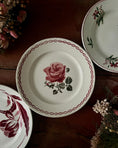 Charger l'image dans la visionneuse de la galerie, Série de 9 assiettes plates terre de fer dépareillées
