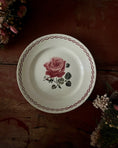 Charger l'image dans la visionneuse de la galerie, Série de 9 assiettes plates terre de fer dépareillées
