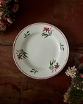 Charger l'image dans la visionneuse de la galerie, Série de 9 assiettes plates terre de fer dépareillées
