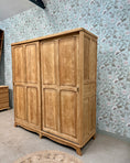 Charger l'image dans la visionneuse de la galerie, Armoire parisienne double avec penderie
