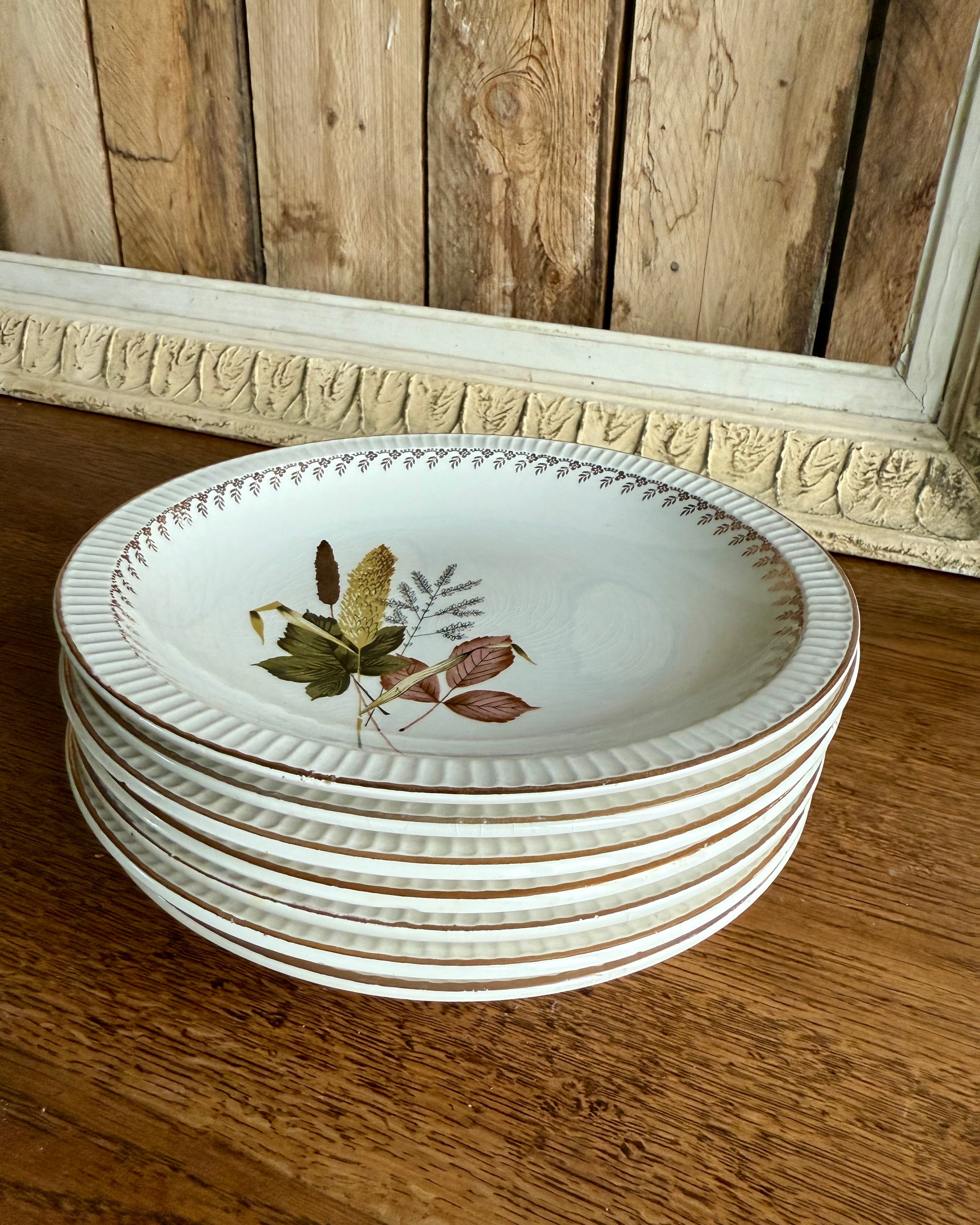 Assiettes semi-creuses Sarreguemines