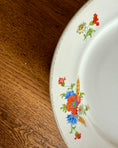 Charger l'image dans la visionneuse de la galerie, Série de 12 assiettes plates Luneville

