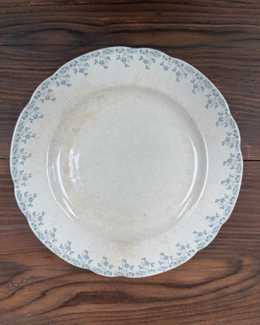 Assiettes plates terre de fer Orchies