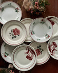 Charger l'image dans la visionneuse de la galerie, Série de 9 assiettes plates terre de fer dépareillées
