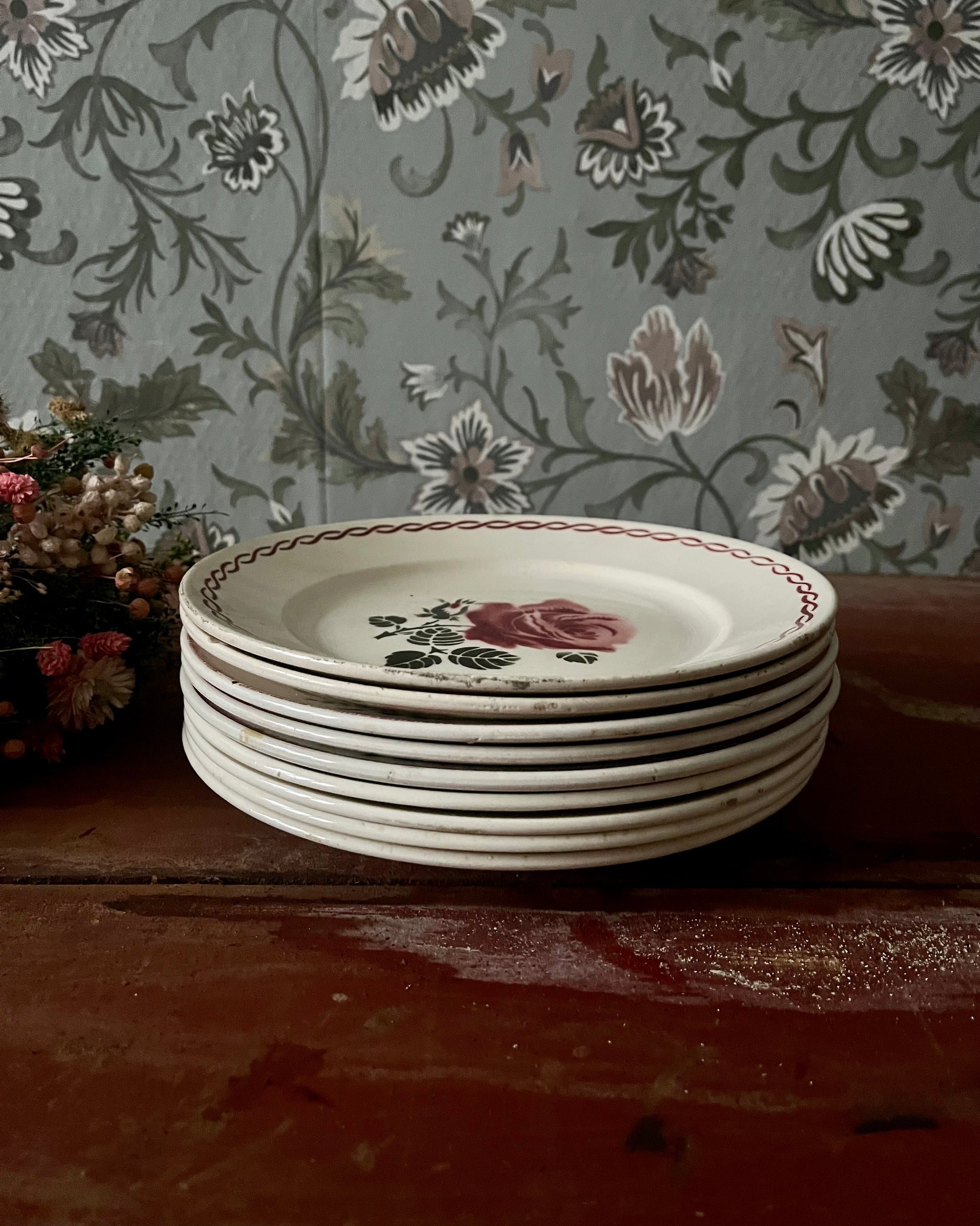 Série de 9 assiettes plates terre de fer dépareillées