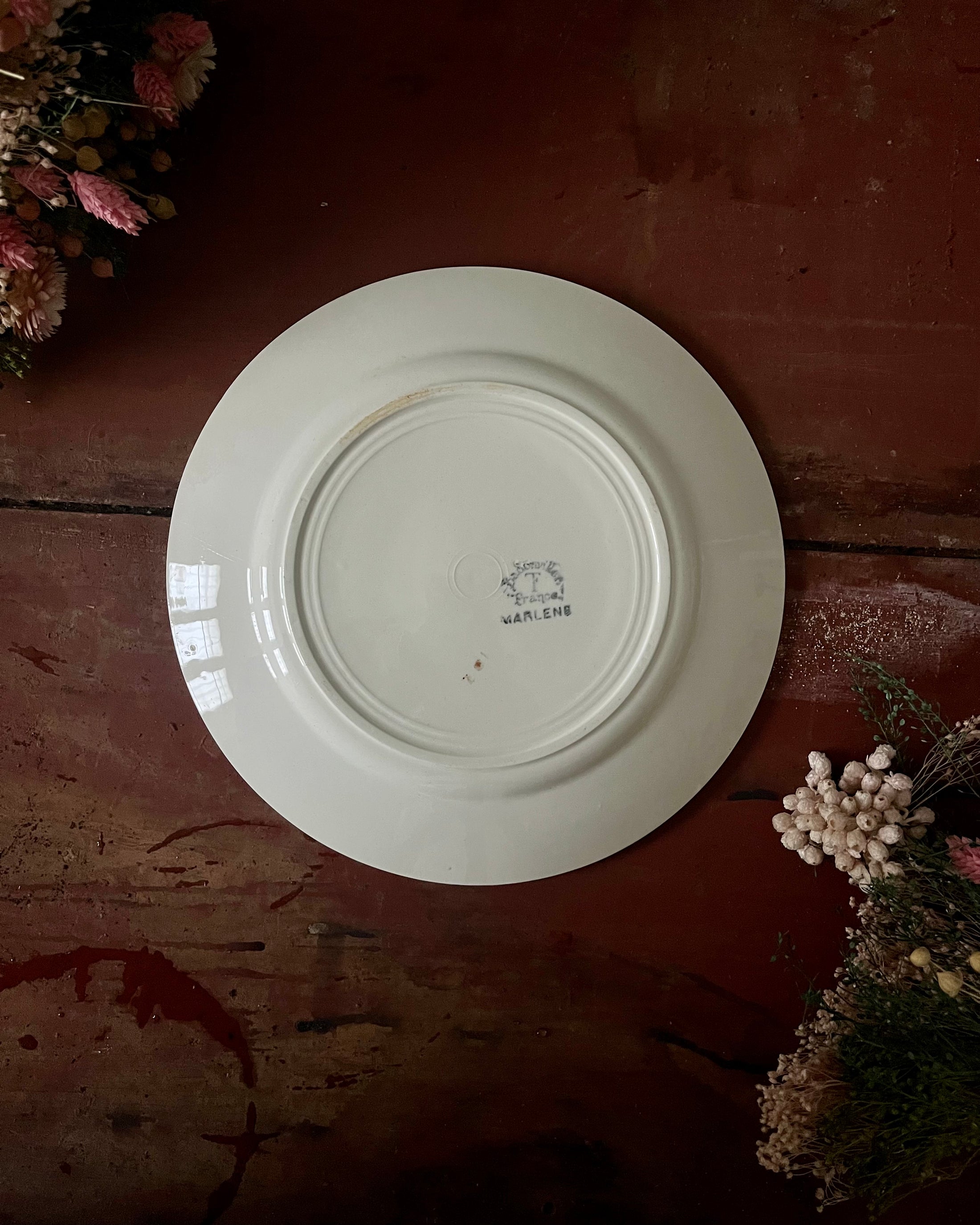 Série de 9 assiettes plates terre de fer dépareillées
