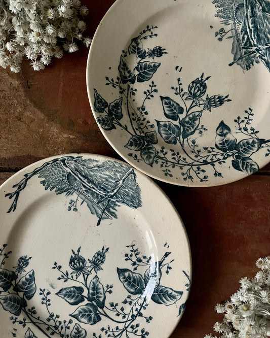 Duo d’assiettes plates terre de fer