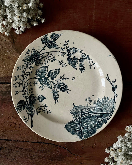 Duo d’assiettes plates terre de fer