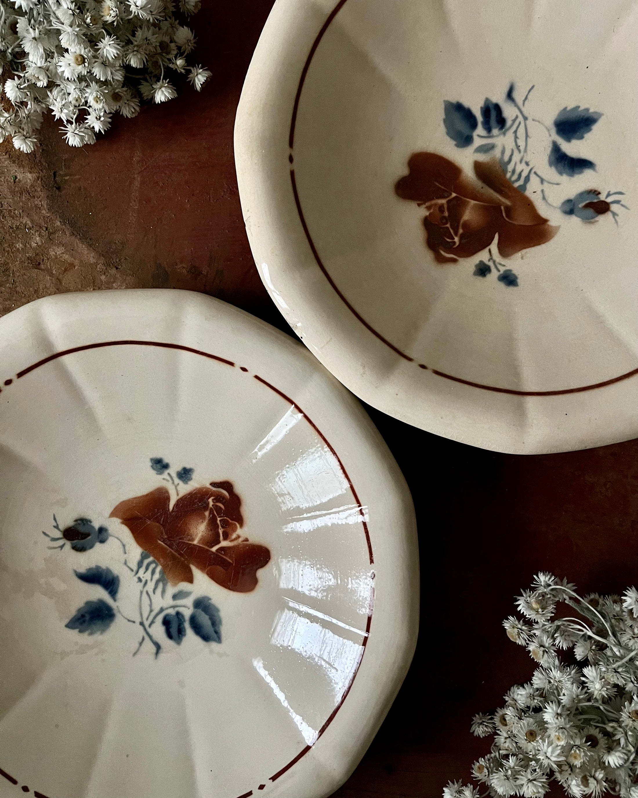 Duo d’assiettes creuses Sarreguemines