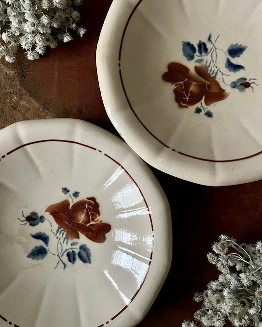 Duo d’assiettes creuses Sarreguemines