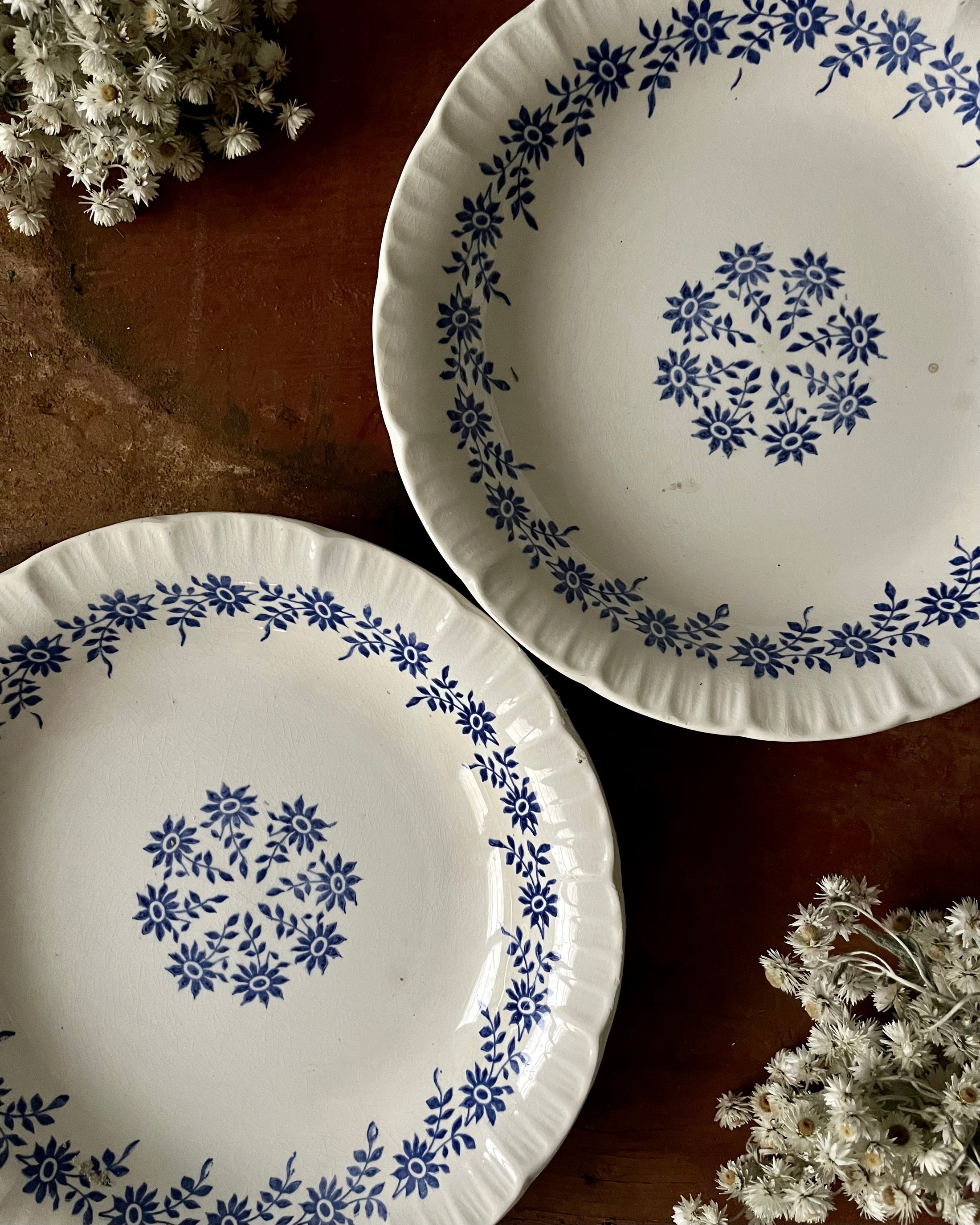 Duo d’assiettes creuses Digoin