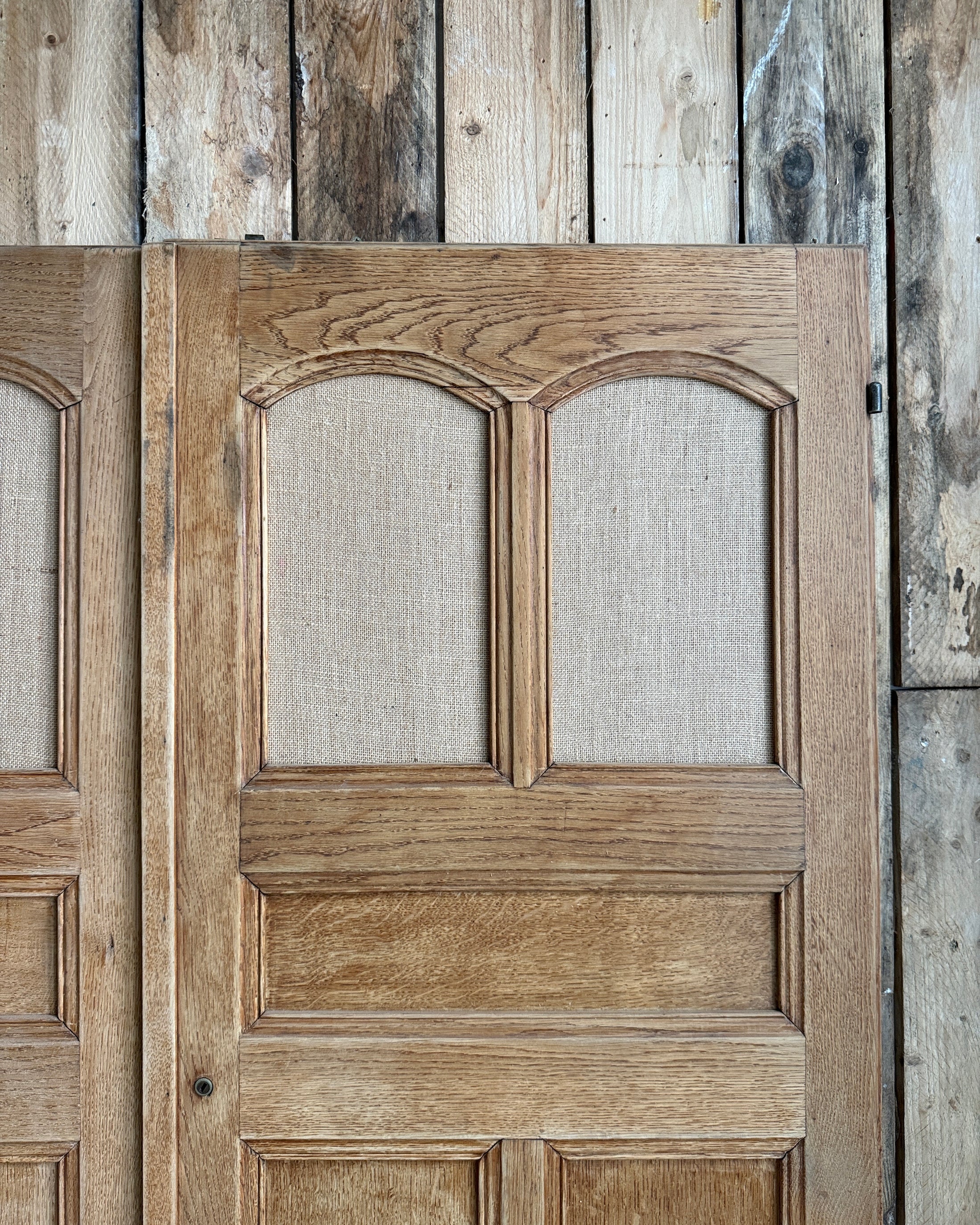 Paire de portes d’une armoire ancienne