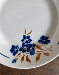 Charger l'image dans la visionneuse de la galerie, Plat rond plat Badonviller Tunis
