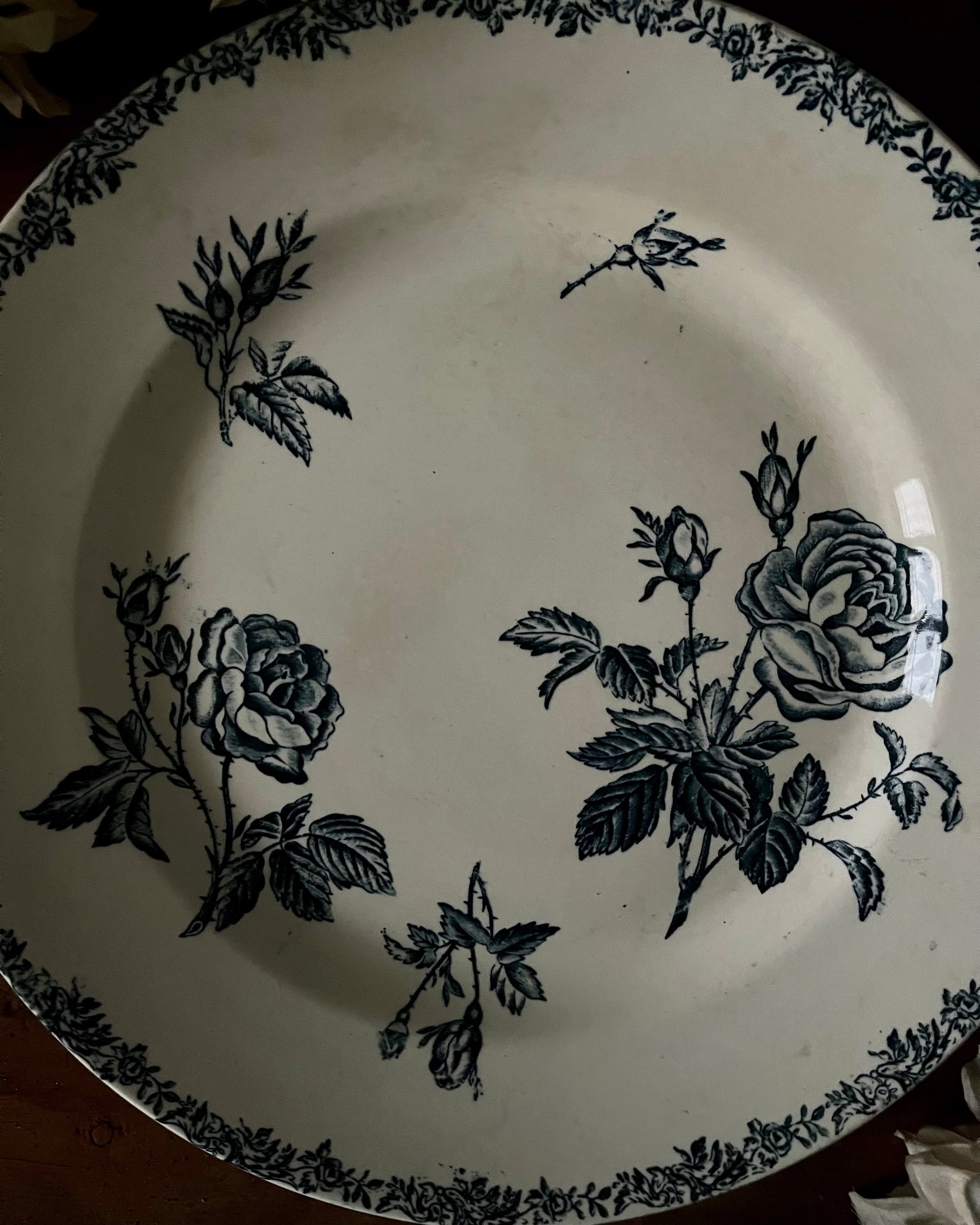 Plat rond plat terre de fer