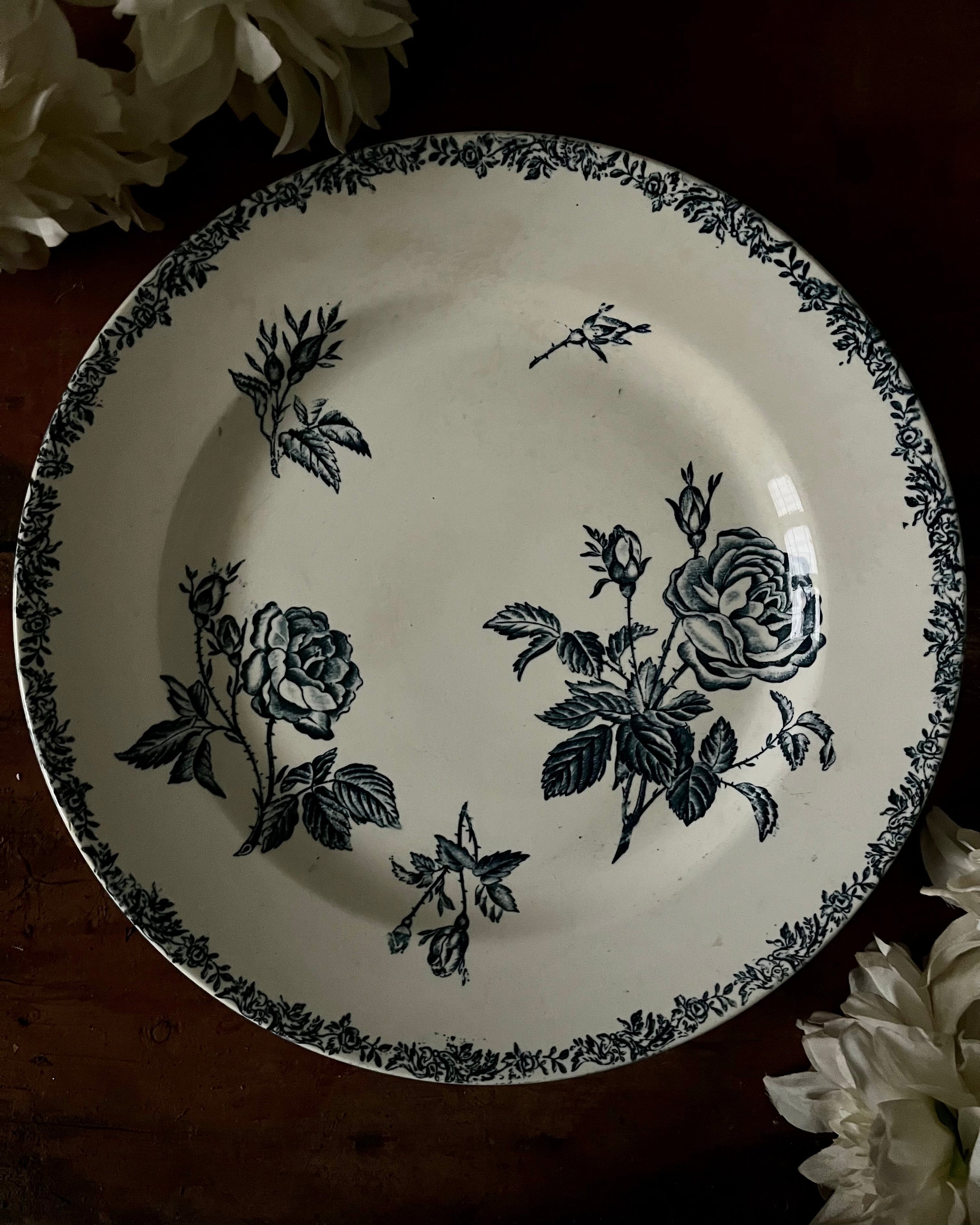 Plat rond plat terre de fer