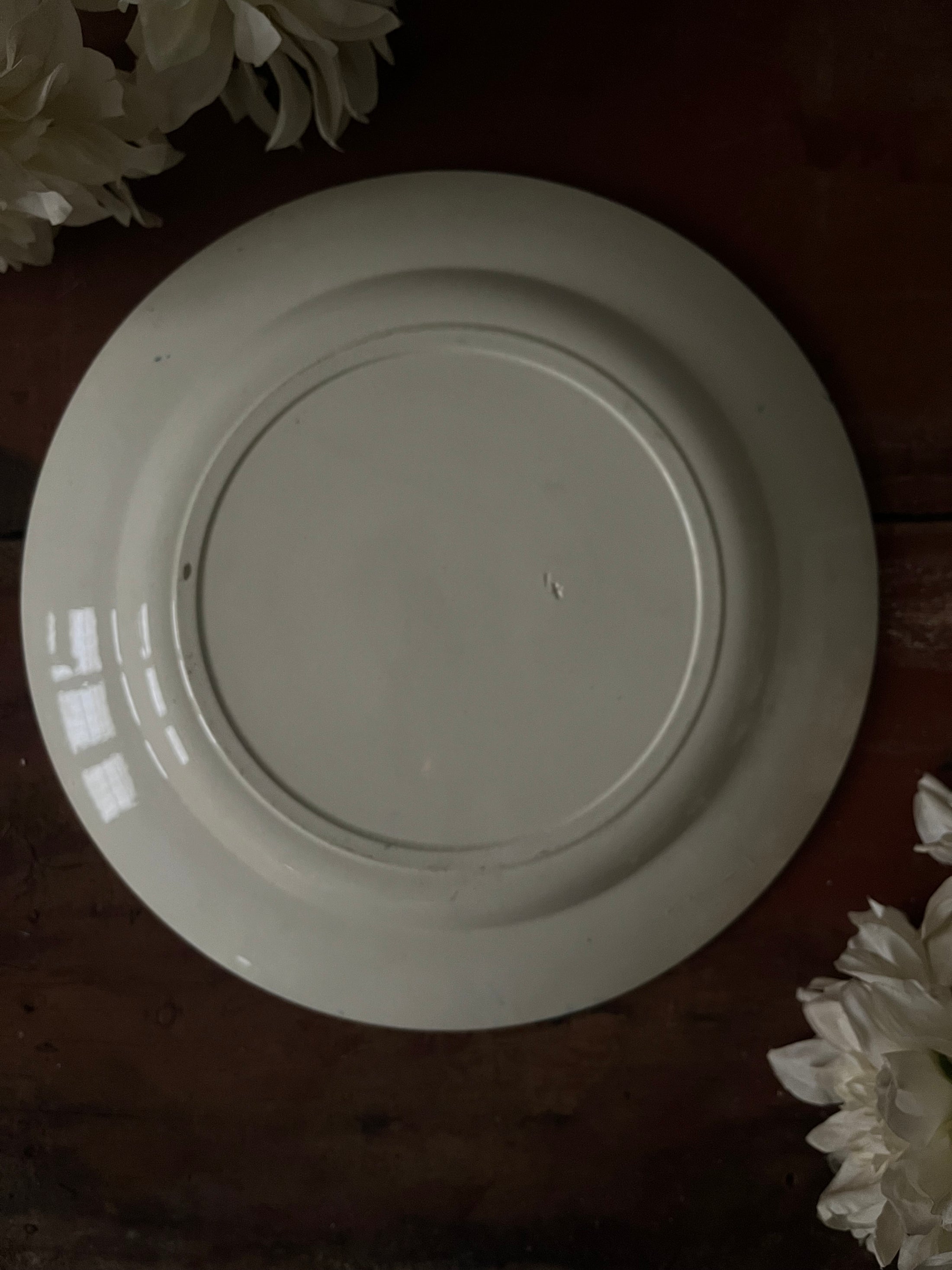 Plat rond plat terre de fer