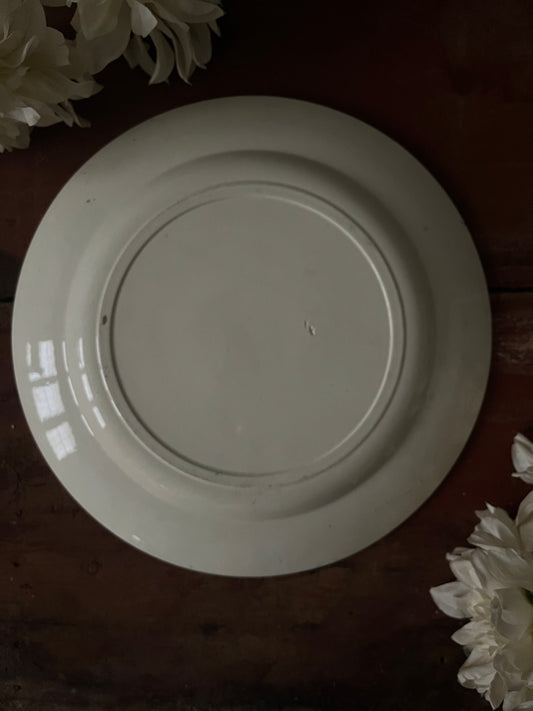 Plat rond plat terre de fer